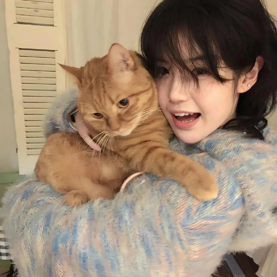 行过死荫之地封面